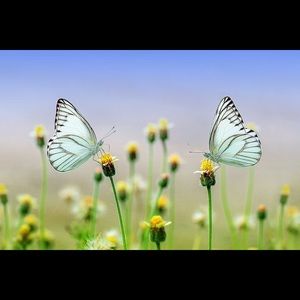 3 for $15. Bundle 3 items listed for $10 or less.